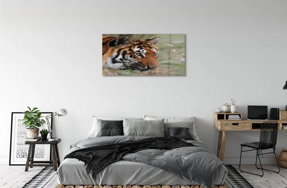 Sklenený obraz Tiger Woods 100x50 cm