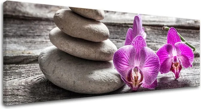 Obraz na plátne FENG SHUI_060-13