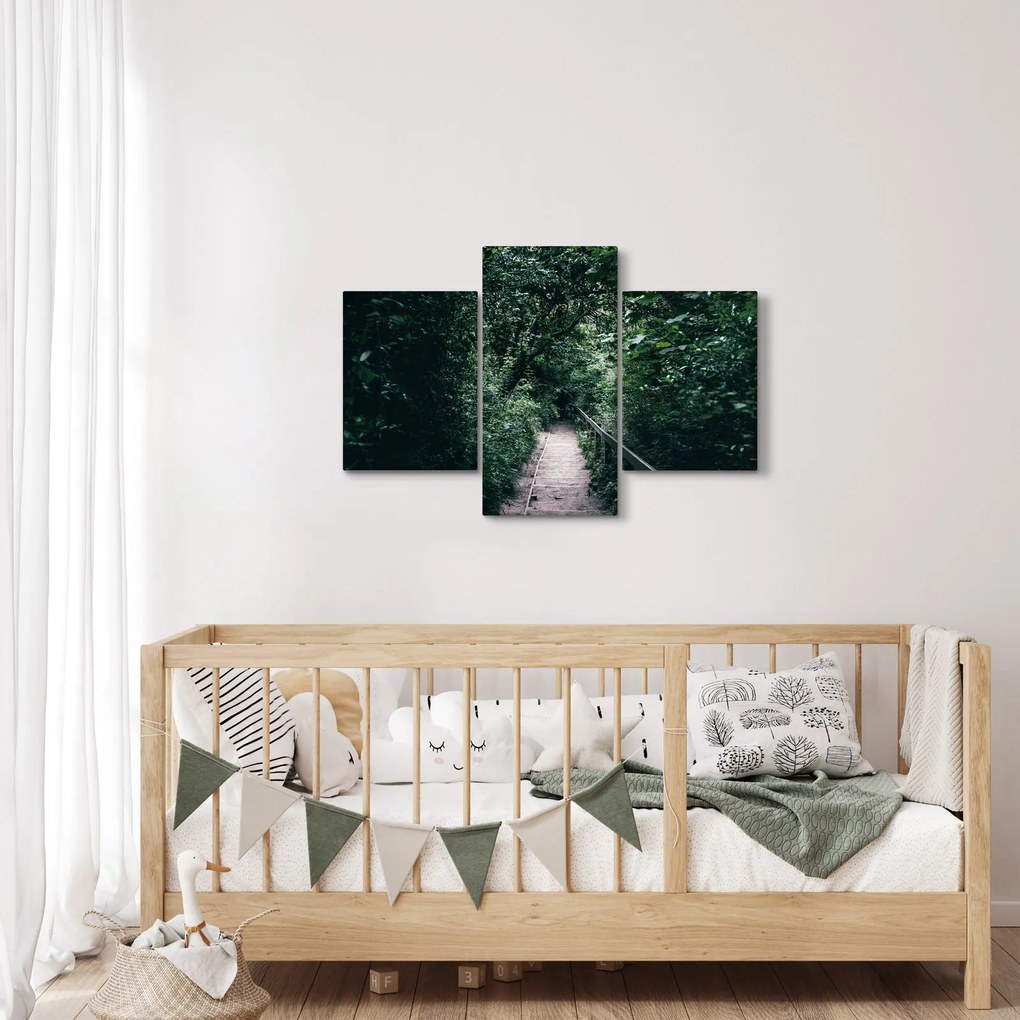 Obraz - Cesta lesom (90x60 cm)