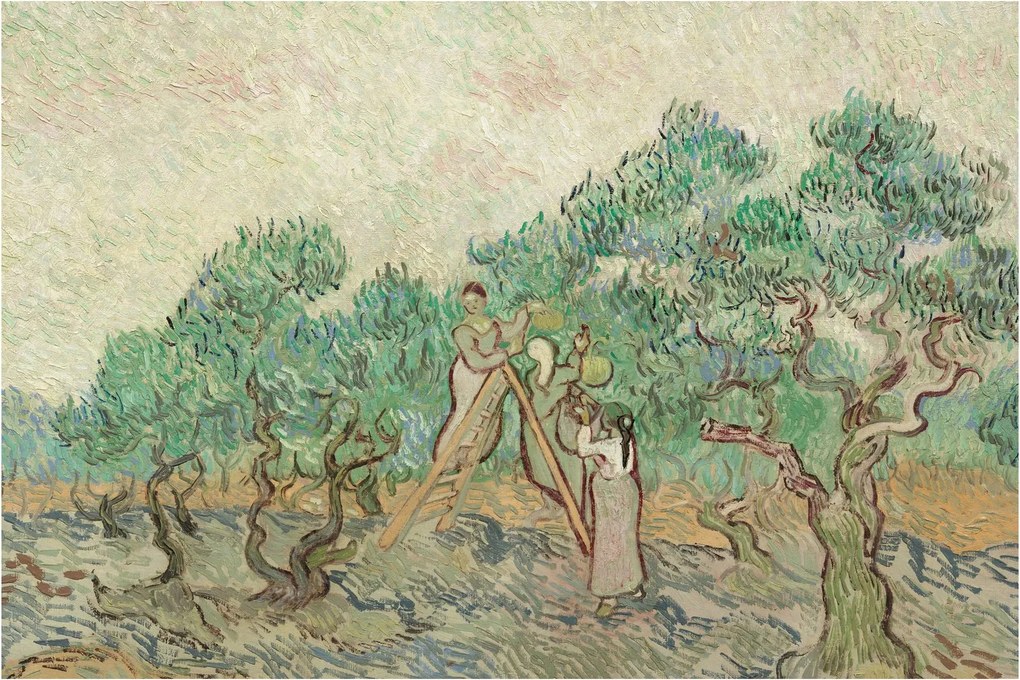 Obraz - Vincent van Gogh, The Olive Orchard, reprodukcia (90x60 cm)