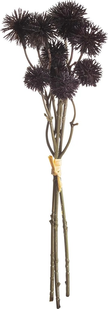 Kytica Kraspedia 30cm deep brown