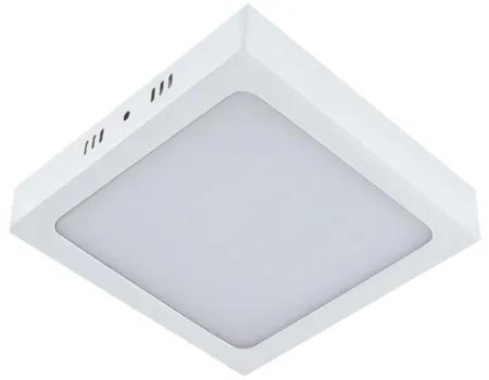 STRÜHM Prisadené stropné svietidlo MARTIN LED D WHITE 24W Neutral White 2911