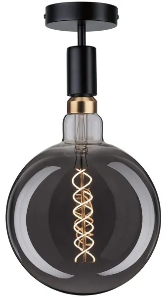 Paulmann 79760 - Stropné svietidlo HALDOR 1xE27/20W/230V