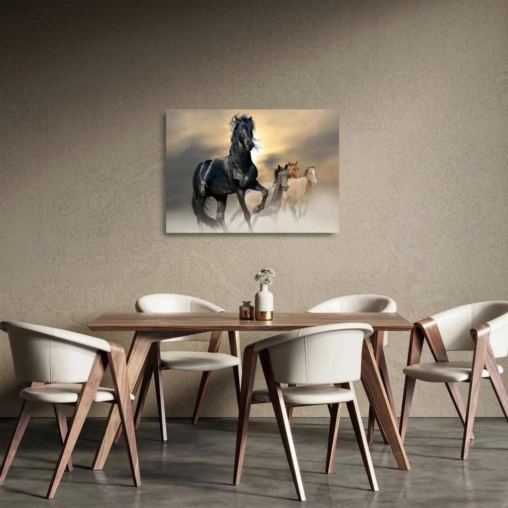 Sklenený obraz - Kone (70x50 cm)