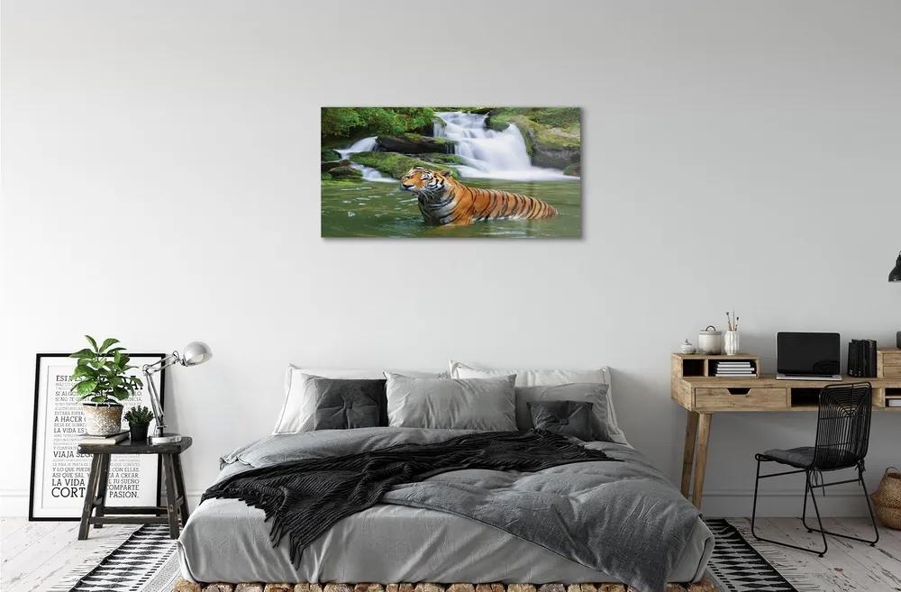 Sklenený obraz tiger vodopád 100x50 cm