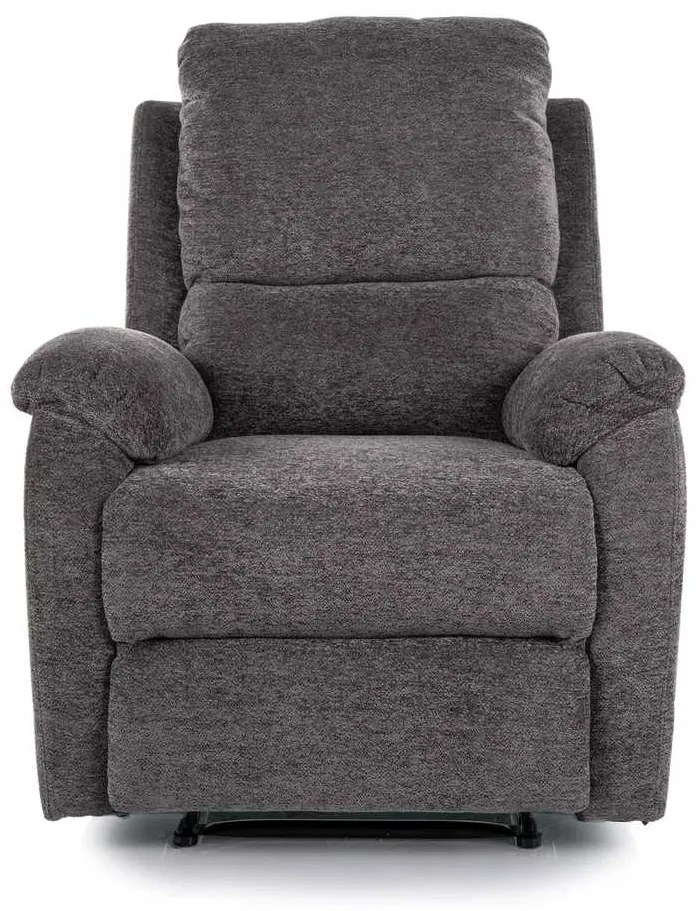 Polohovacie kreslo Bud III, sivá