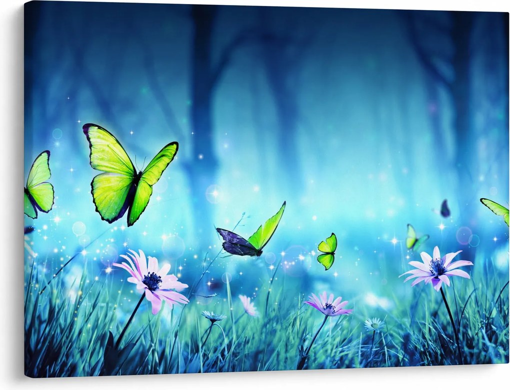 Obraz - Mystická lesná čistina (70x50 cm)
