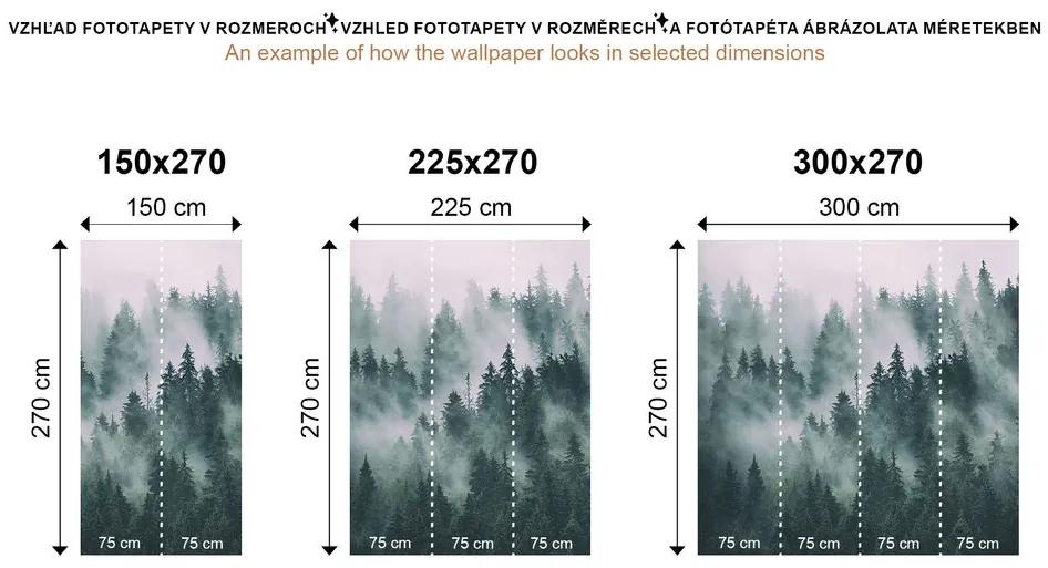Samolepiaca fototapeta rieka uprostred lesa v čiernobielom prevedení