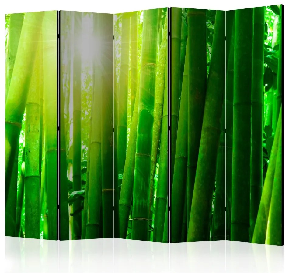 Artgeist Paraván - Sun and bamboo [Room Dividers]