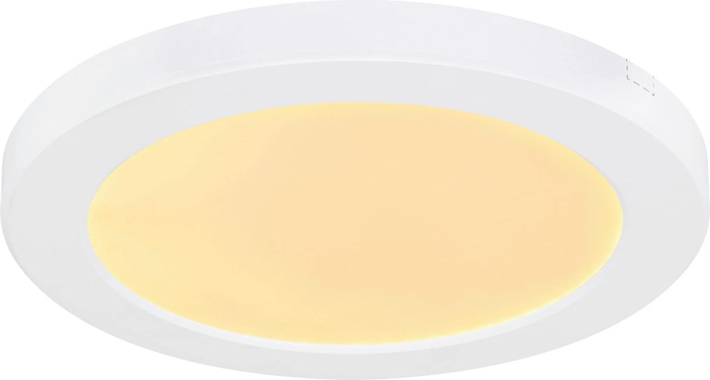 XXXLutz STROPNÉ LED SVIETIDLO, 22/1,8 cm Boxxx - Interiérové svietidlá - 008181098502