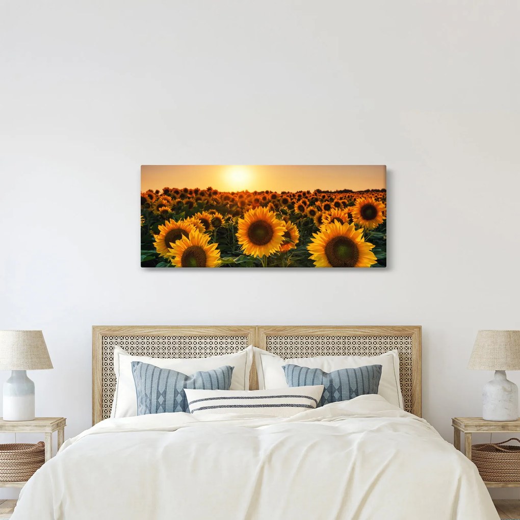 Obraz - Slnečnica (120x50 cm)