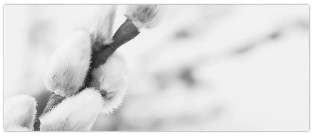 Obraz - Začiatok jari (120x50 cm)