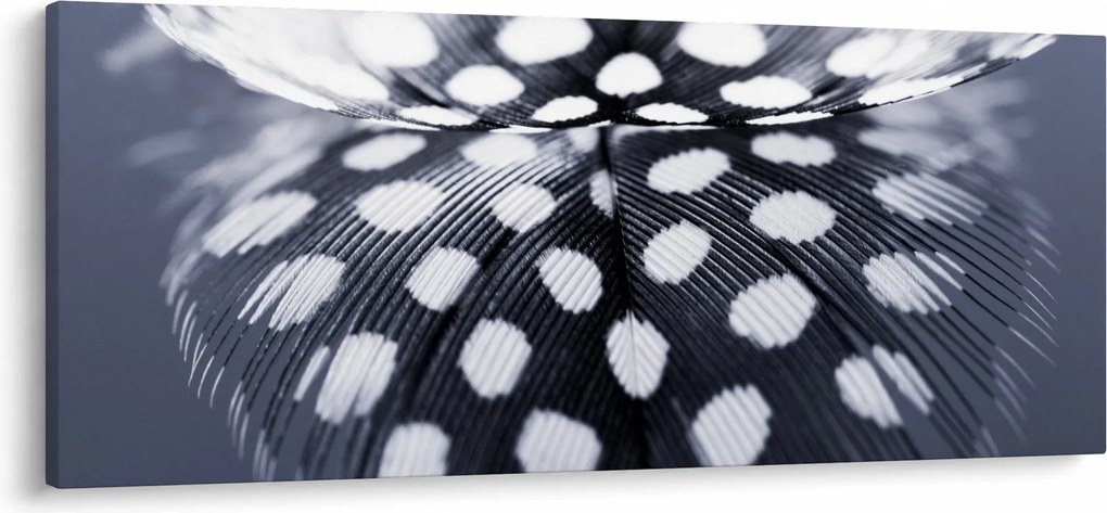 Obraz - Pierko (120x50 cm)