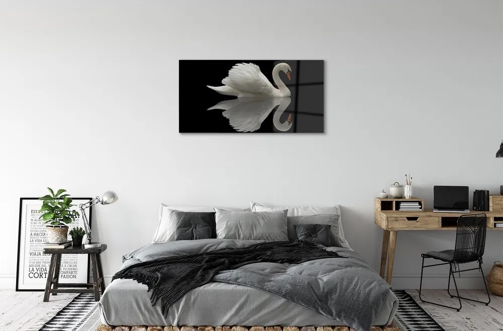 Sklenený obraz Swan v noci 125x50 cm