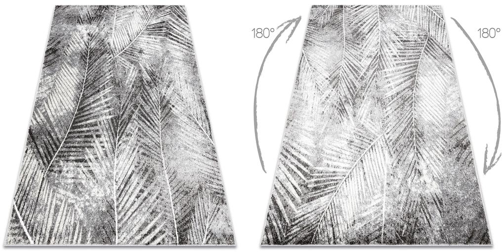 Moderný koberec MATEO 8035/644 Palmové lístie, sivý