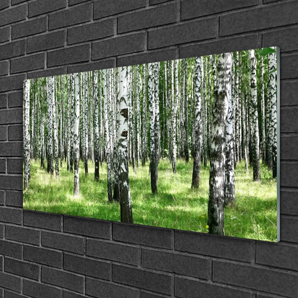 Skleneny obraz Les tráva rastlina príroda 125x50 cm