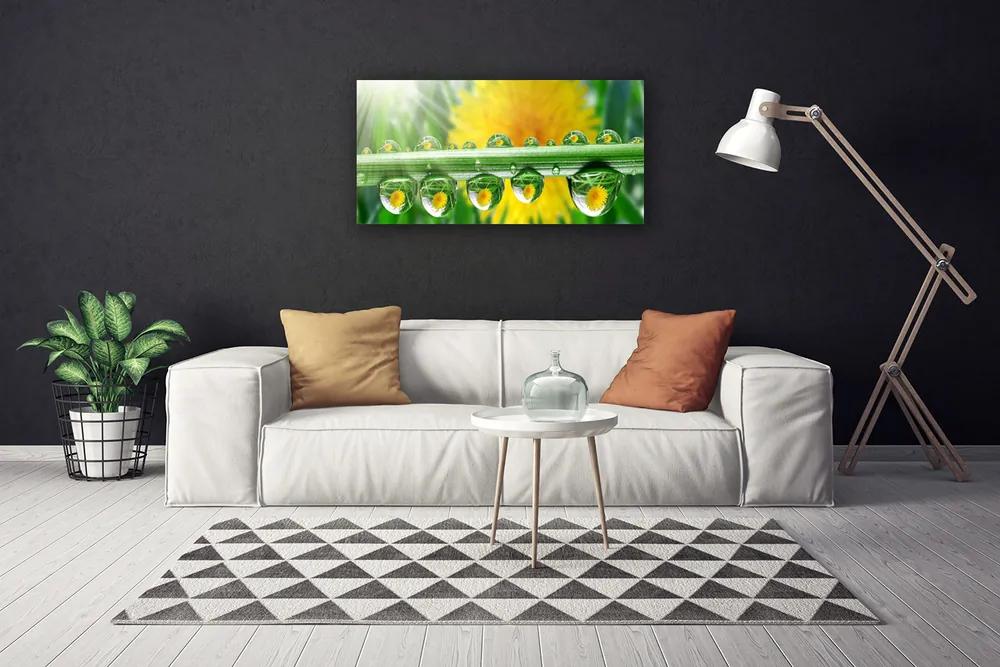 Obraz Canvas Stonka kvapky rosa rastlina 125x50 cm