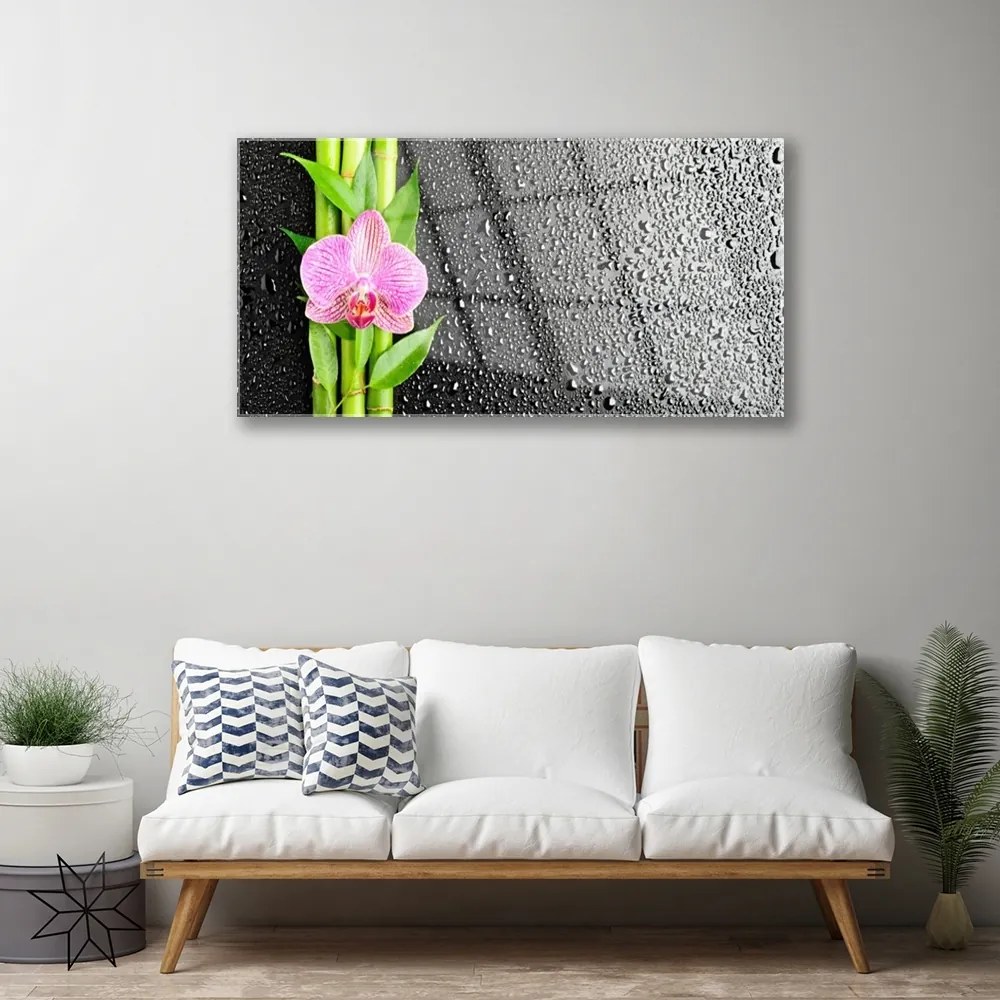 Obraz na skle Bambus stonky kvet rastlina 120x60 cm