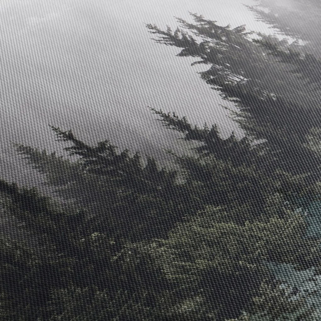 Obraz - Les s ilustrovanými prvkami (120x50 cm)