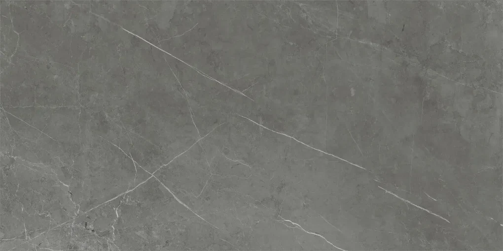 Dlažba Tessino Grey Pulido 60x120 R
