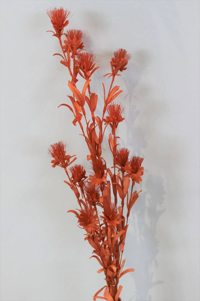 Oranžová penová tráva s kvetmi 80cm