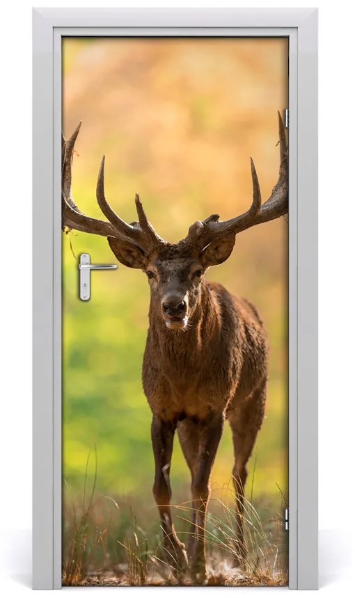 Fototapeta samolepiace na dvere jeleň v lese 75x205 cm