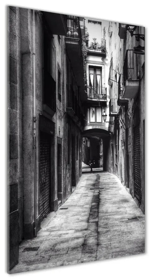 Vertikálny foto obraz akrylový Barcelona Španielsko oav-62280474