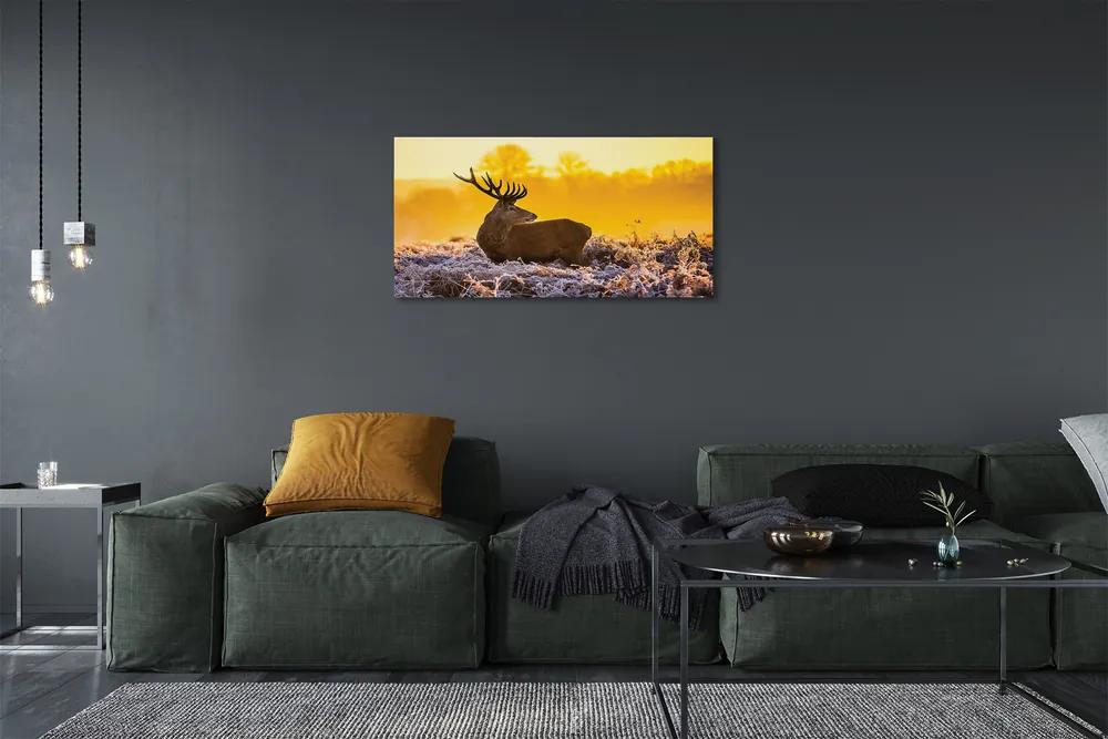 Obraz na plátne Jeleň zimné slnko 125x50 cm