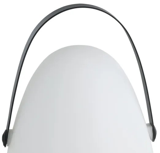 Eglo 48841 - LED Vonkajšia stolná lampa COLLIRADOS LED/3xAA IP44