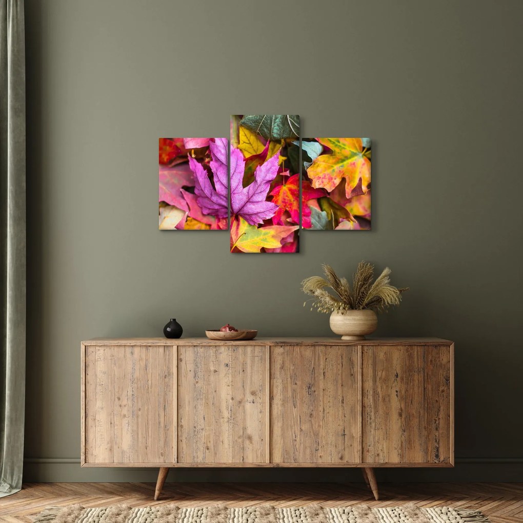 Obraz - jesenné listy (90x60 cm)