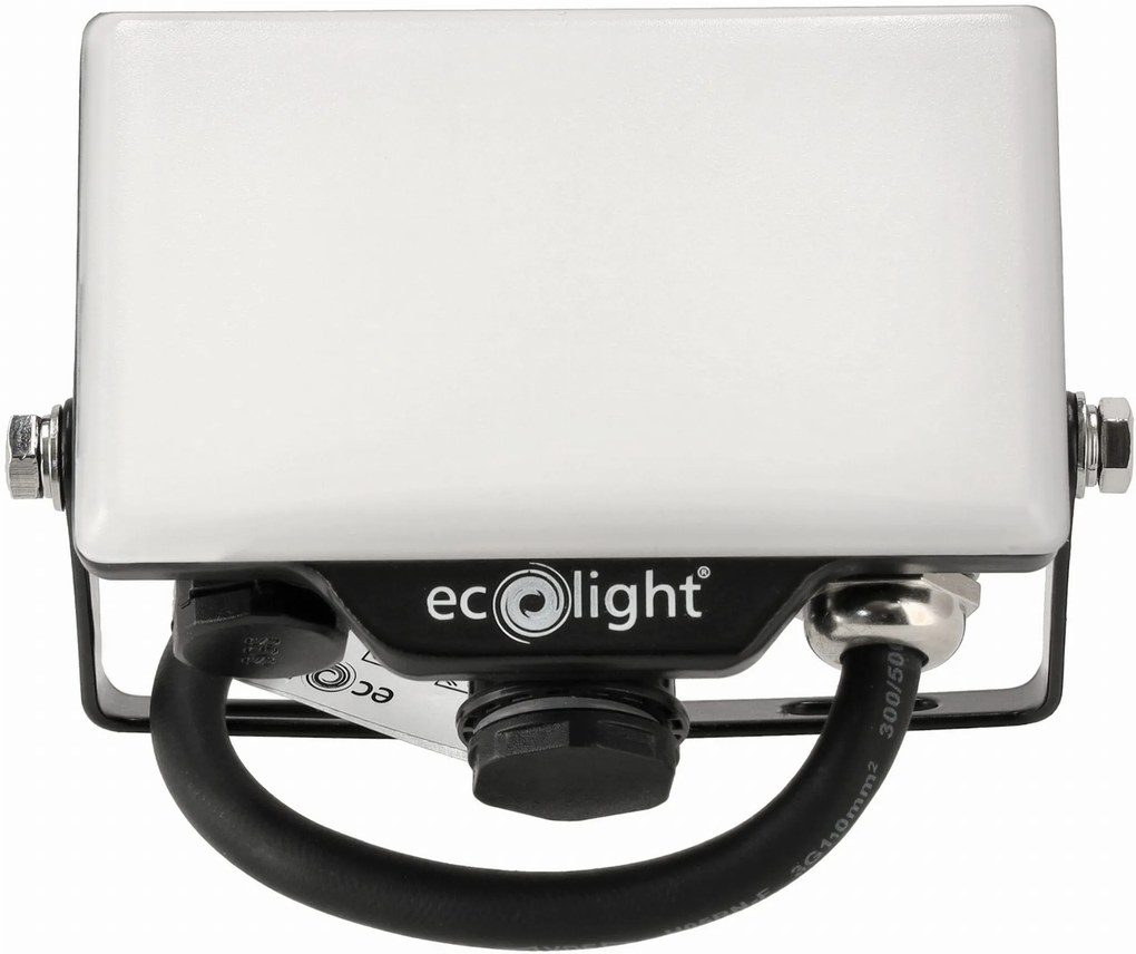 ECOLIGHT LED reflektor 10W 2v1 - studená biela + čidlo pohybu