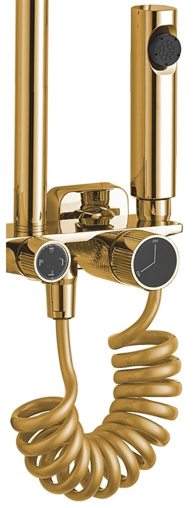 Rea Helix, nástenný sprchový set s termostatickou batériou a bidetovou spŕškou, zlatá lesklá, REA-P6619
