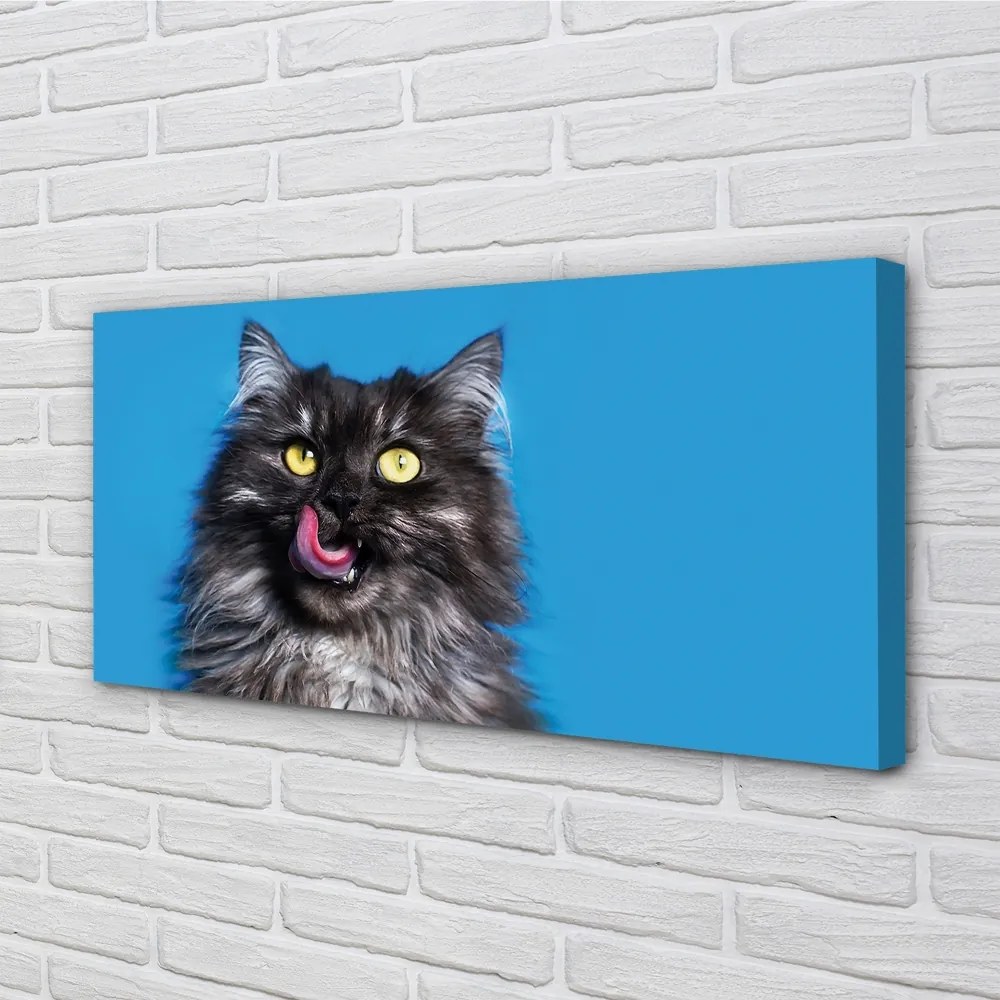 Obraz na plátne Oblizujący mačka 125x50 cm