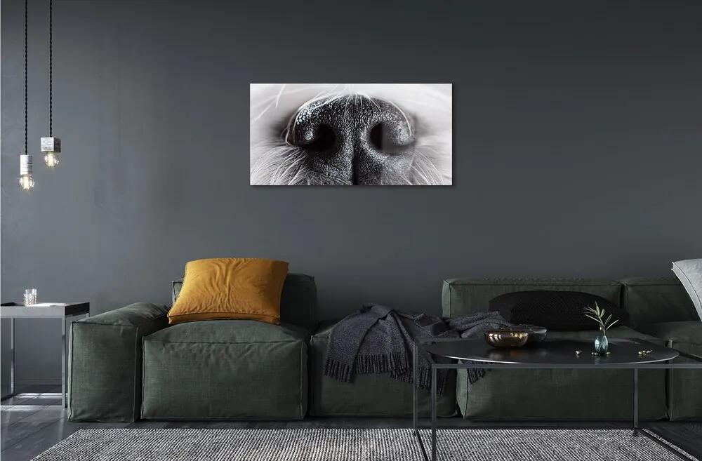 Sklenený obraz psie ňufák 120x60 cm
