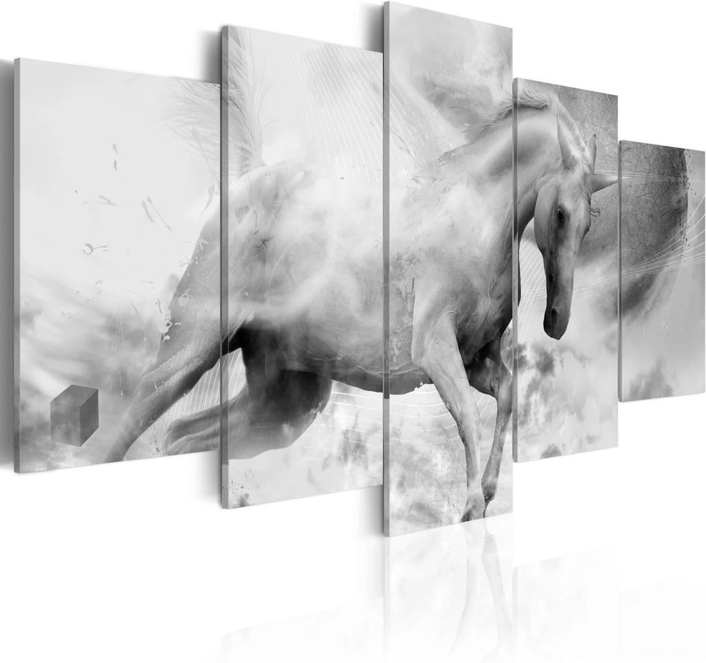 Obraz - The last unicorn 100x50 | Biano