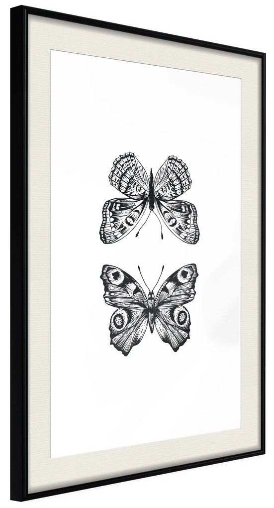 Artgeist Plagát - Two Butterflies [Poster] Veľkosť: 30x45, Verzia: Zlatý rám