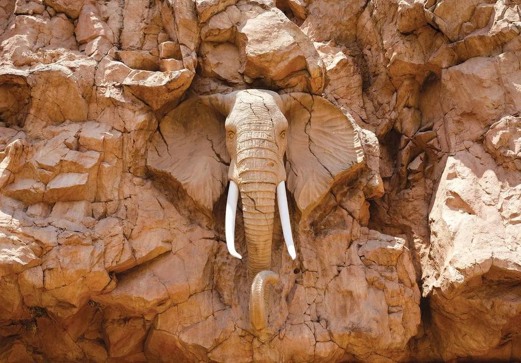 Fototapeta - Slon vytesaný v skalách (254x184 cm)