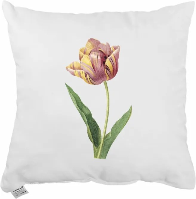 Dekoratívny vankúš Velvet 40x40 cm EMI