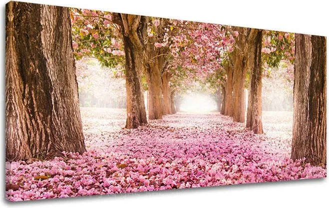 Obraz na stenu PANORÁMA STROMY ST008E13