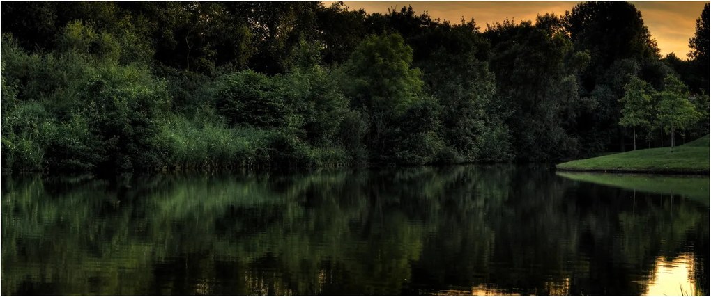 Obraz jazera pri lese (120x50 cm)
