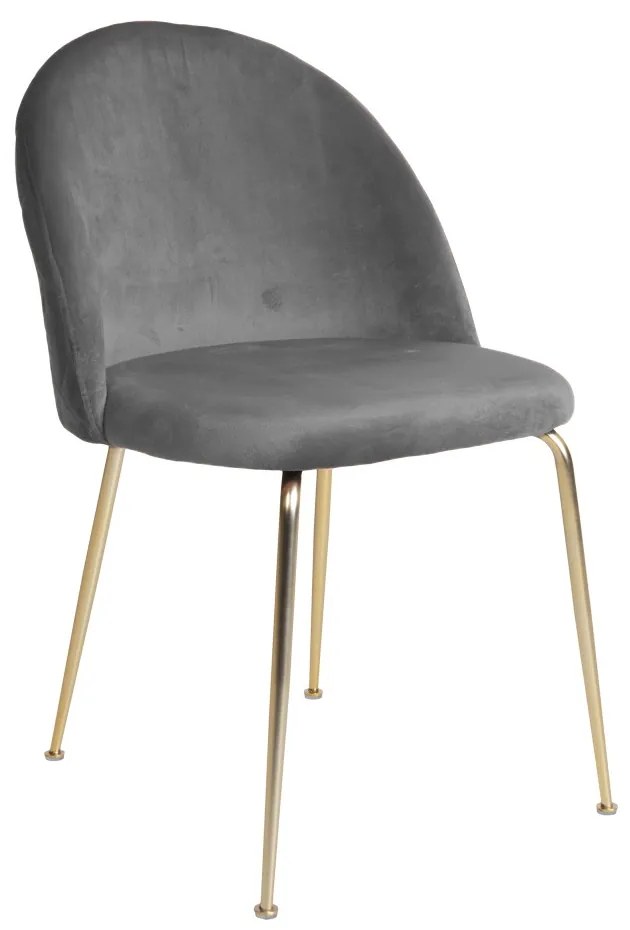 Dizajnová stolička Ernesto, sivá / mosadz