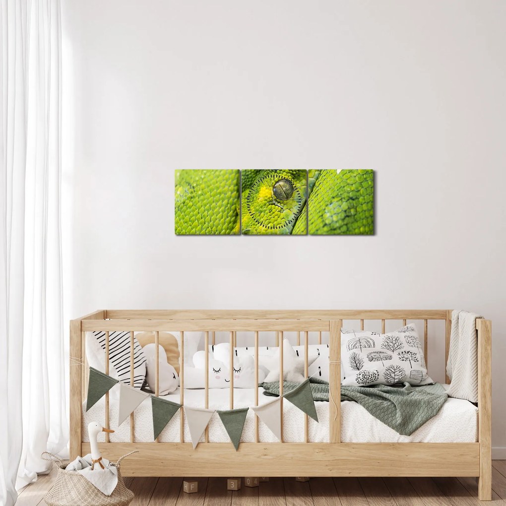 Obraz hada (s hodinami) (90x30 cm)