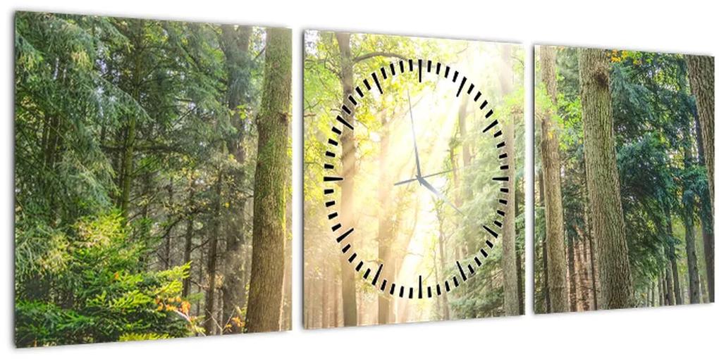 Obraz cestičky v lese (s hodinami) (90x30 cm)