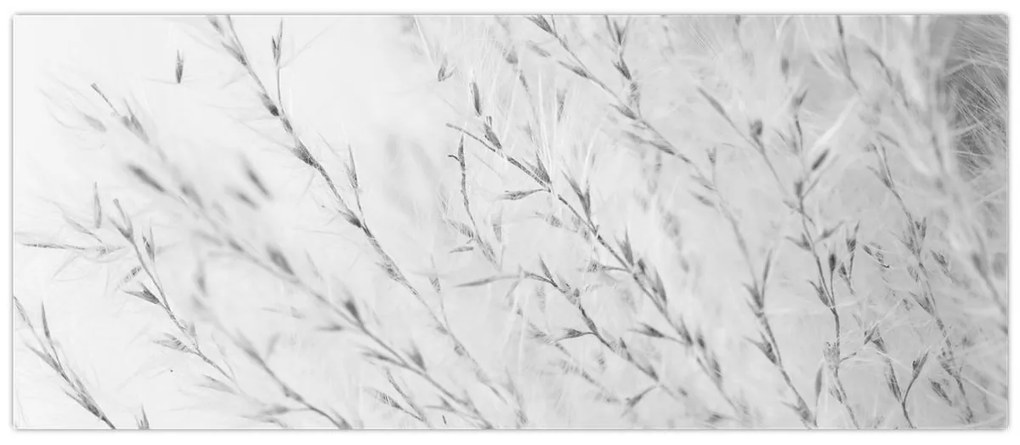 Obraz - Pampas grass N⁰2 (120x50 cm)