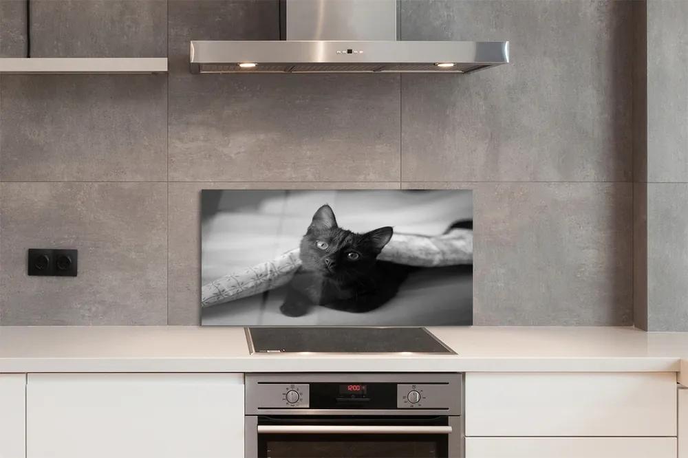 Nástenný panel  Mačka pod prikrývkou 100x50 cm