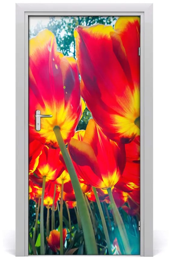 Fototapeta na dvere tulipány 85x205 cm