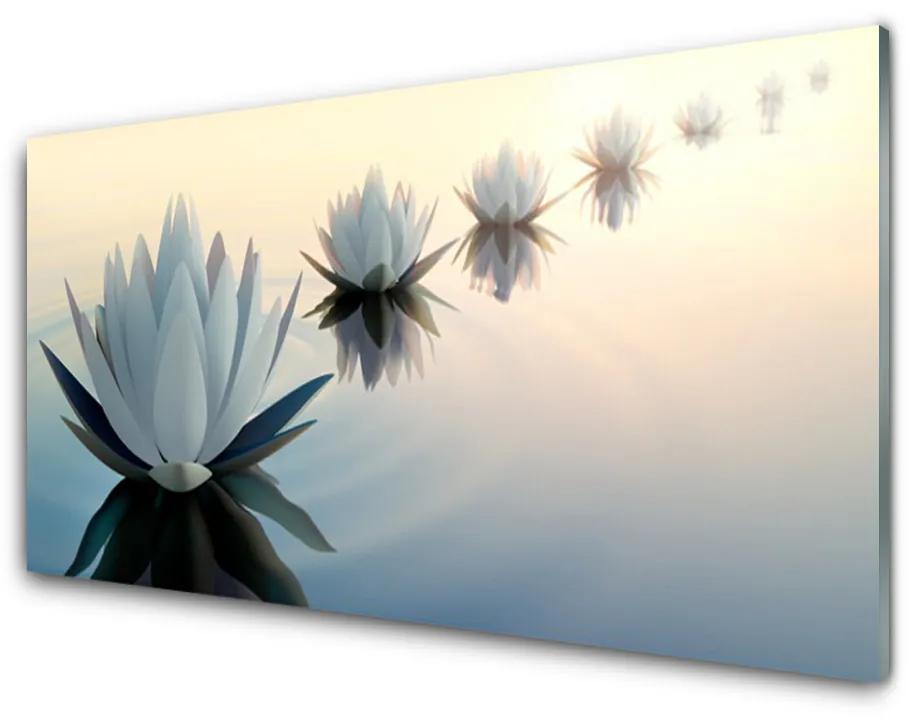 Obraz plexi Vodné lilie biely lekno 140x70 cm