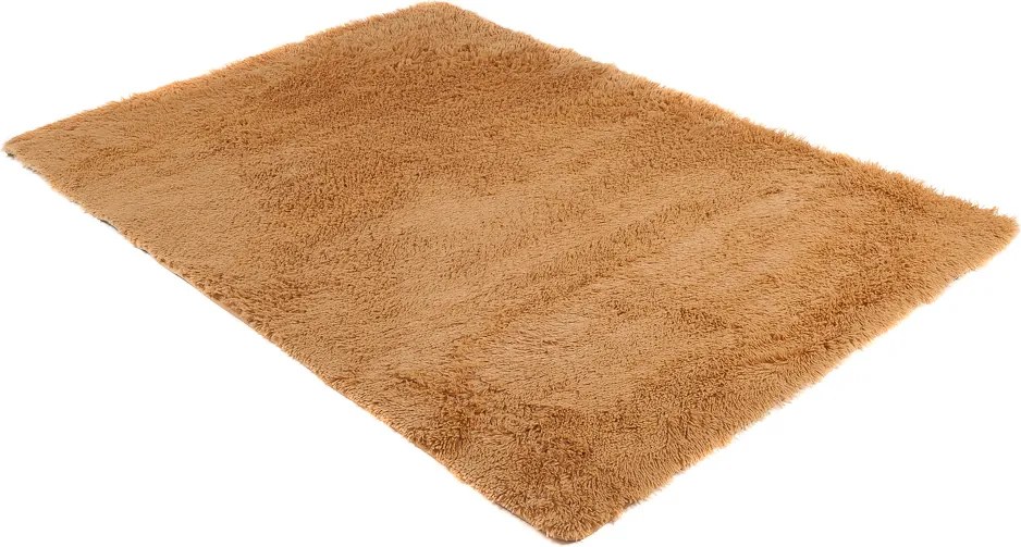 TA Koberec BEIGE BEIGE SILK Béžový Obdĺžnikový Rozmer: 120x170 cm