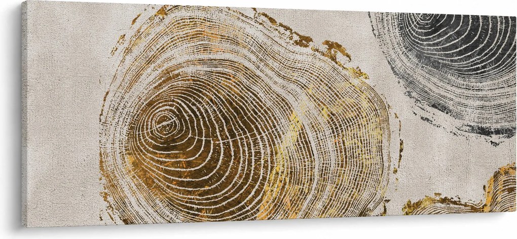 Obraz - Abstrakcia kmeňov (120x50 cm)