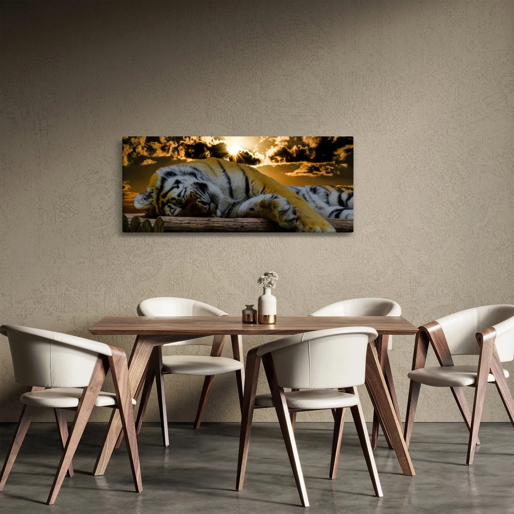 Obraz spiaceho tigra (120x50 cm)